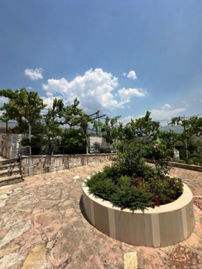 Vila Hino